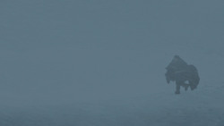 extant_GameOfThrones_3x01-ValarDohaeris_0039