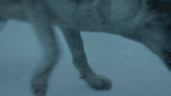 extant_GameOfThrones_3x01-ValarDohaeris_0180