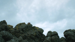 extant_GameOfThrones_3x01-ValarDohaeris_1891
