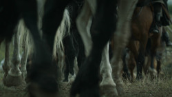 extant_GameOfThrones_3x01-ValarDohaeris_2357