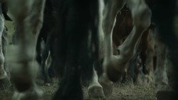 extant_GameOfThrones_3x01-ValarDohaeris_2358