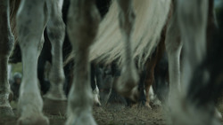 extant_GameOfThrones_3x01-ValarDohaeris_2359
