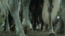 extant_GameOfThrones_3x01-ValarDohaeris_2360