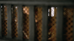 extant_GameOfThrones_3x01-ValarDohaeris_4346