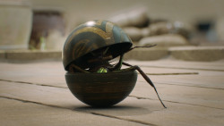 extant_GameOfThrones_3x01-ValarDohaeris_5411