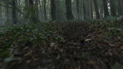 extant_GameOfThrones_3x02-DarkWingsDarkWords_0001