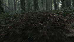 extant_GameOfThrones_3x02-DarkWingsDarkWords_0003