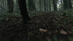 extant_GameOfThrones_3x02-DarkWingsDarkWords_0005