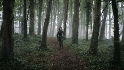 extant_GameOfThrones_3x02-DarkWingsDarkWords_0012