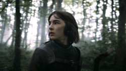 extant_GameOfThrones_3x02-DarkWingsDarkWords_0023