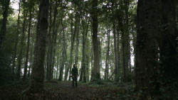 extant_GameOfThrones_3x02-DarkWingsDarkWords_0033