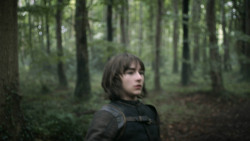 extant_GameOfThrones_3x02-DarkWingsDarkWords_0045