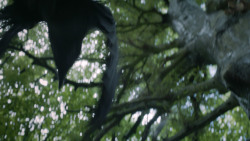 extant_GameOfThrones_3x02-DarkWingsDarkWords_0046