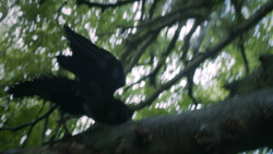 extant_GameOfThrones_3x02-DarkWingsDarkWords_0047