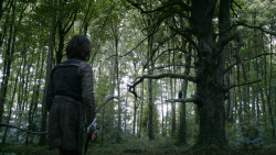 extant_GameOfThrones_3x02-DarkWingsDarkWords_0059