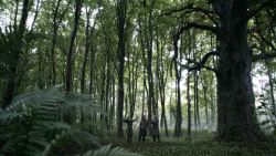 extant_GameOfThrones_3x02-DarkWingsDarkWords_0097