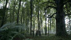 extant_GameOfThrones_3x02-DarkWingsDarkWords_0098