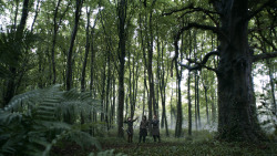 extant_GameOfThrones_3x02-DarkWingsDarkWords_0100