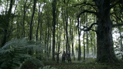 extant_GameOfThrones_3x02-DarkWingsDarkWords_0101