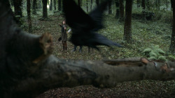 extant_GameOfThrones_3x02-DarkWingsDarkWords_0106