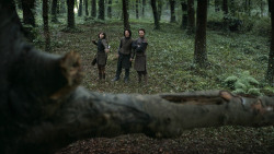 extant_GameOfThrones_3x02-DarkWingsDarkWords_0107