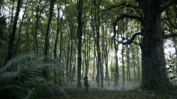 extant_GameOfThrones_3x02-DarkWingsDarkWords_0114