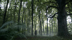 extant_GameOfThrones_3x02-DarkWingsDarkWords_0115