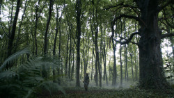 extant_GameOfThrones_3x02-DarkWingsDarkWords_0116