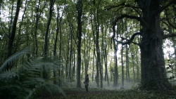 extant_GameOfThrones_3x02-DarkWingsDarkWords_0117