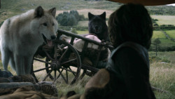extant_GameOfThrones_3x02-DarkWingsDarkWords_0161