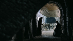 extant_GameOfThrones_3x02-DarkWingsDarkWords_0415