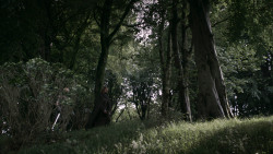 extant_GameOfThrones_3x02-DarkWingsDarkWords_0758