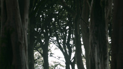 extant_GameOfThrones_3x02-DarkWingsDarkWords_0801