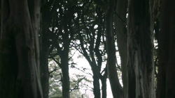 extant_GameOfThrones_3x02-DarkWingsDarkWords_0802
