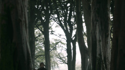 extant_GameOfThrones_3x02-DarkWingsDarkWords_0804