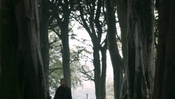 extant_GameOfThrones_3x02-DarkWingsDarkWords_0805