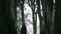 extant_GameOfThrones_3x02-DarkWingsDarkWords_0806
