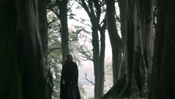 extant_GameOfThrones_3x02-DarkWingsDarkWords_0807