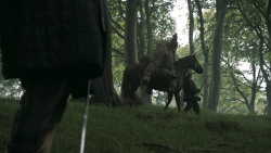 extant_GameOfThrones_3x02-DarkWingsDarkWords_0885