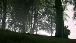 extant_GameOfThrones_3x02-DarkWingsDarkWords_0965