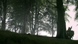 extant_GameOfThrones_3x02-DarkWingsDarkWords_0966
