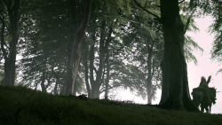 extant_GameOfThrones_3x02-DarkWingsDarkWords_0967