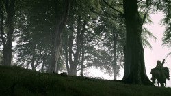 extant_GameOfThrones_3x02-DarkWingsDarkWords_0968