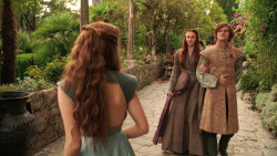 extant_GameOfThrones_3x02-DarkWingsDarkWords_1450