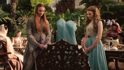 extant_GameOfThrones_3x02-DarkWingsDarkWords_1549