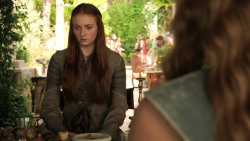 extant_GameOfThrones_3x02-DarkWingsDarkWords_1849