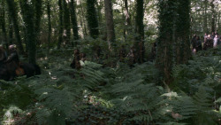 extant_GameOfThrones_3x02-DarkWingsDarkWords_1987