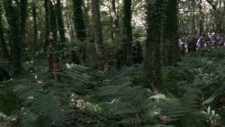 extant_GameOfThrones_3x02-DarkWingsDarkWords_1988