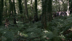 extant_GameOfThrones_3x02-DarkWingsDarkWords_1989