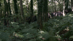 extant_GameOfThrones_3x02-DarkWingsDarkWords_1990